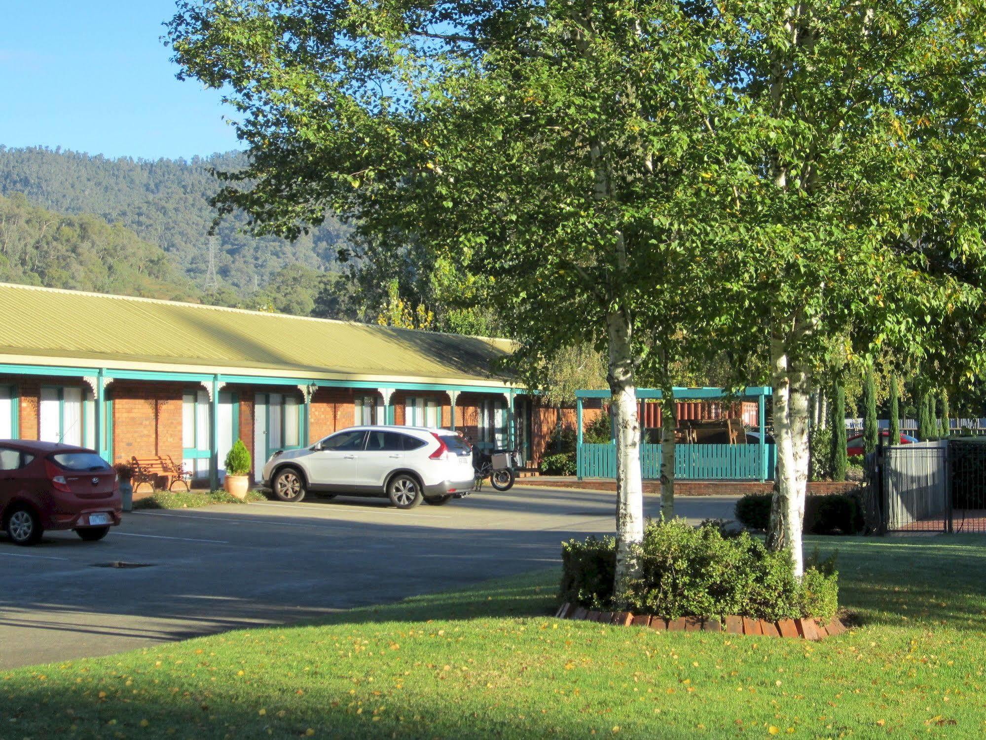 Snowgum Motel Mount Beauty Exterior photo